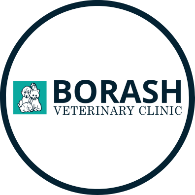 Borash Veterinary Clinic Logo