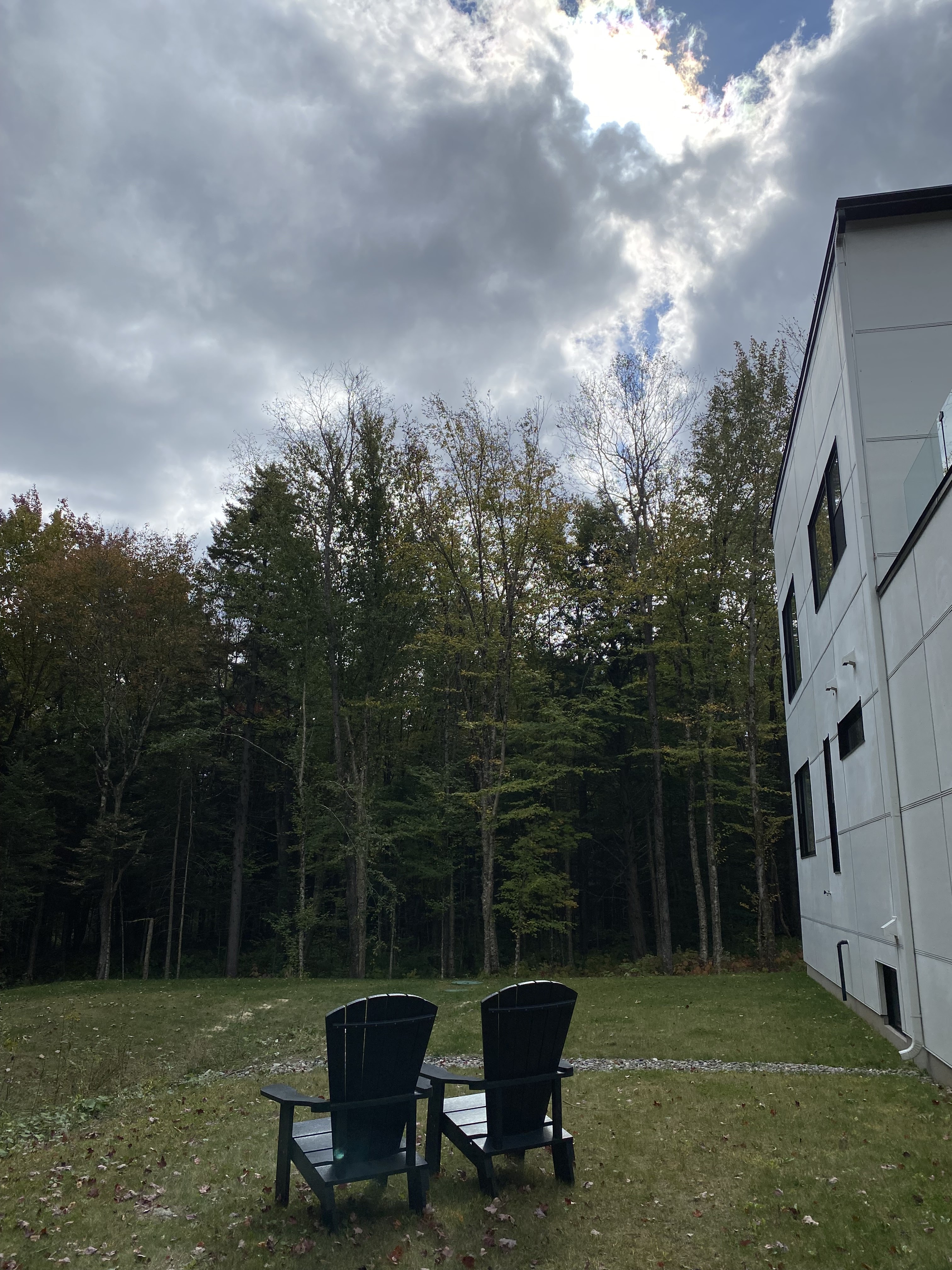 Images Altitude Abattage - Services d'arbres, Élagage, Émondage Eastman