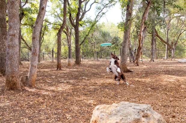 Images Camden Gaines Ranch Apartments