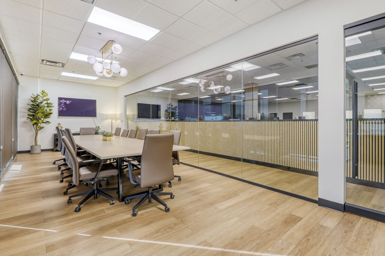 Alpha Video Surveillance Image