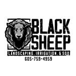 Black Sheep Landscape Logo