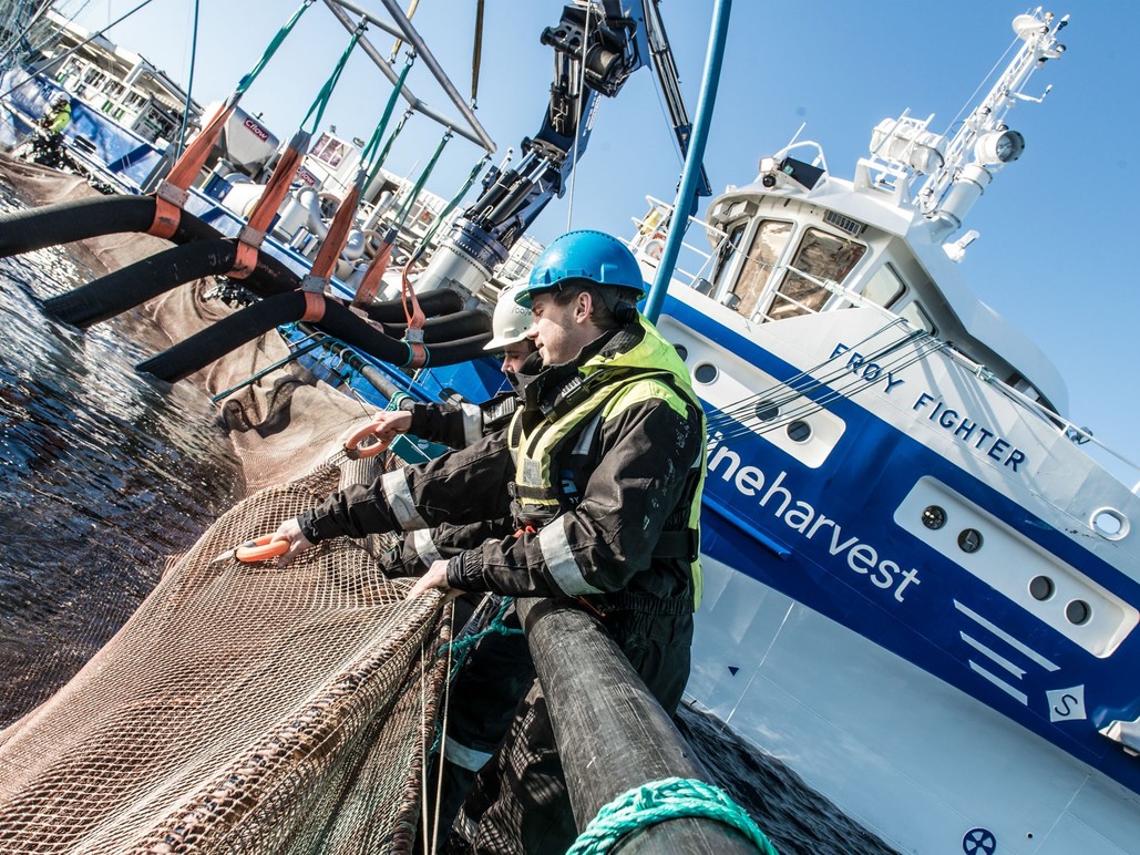 Images Gåsø Næringsutvikling AS