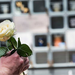 Bild 3 Bestattungshaus Hansen - Erdbestattung - Seebestattung - Feuerbestattung - Naturbestattung in Wismar