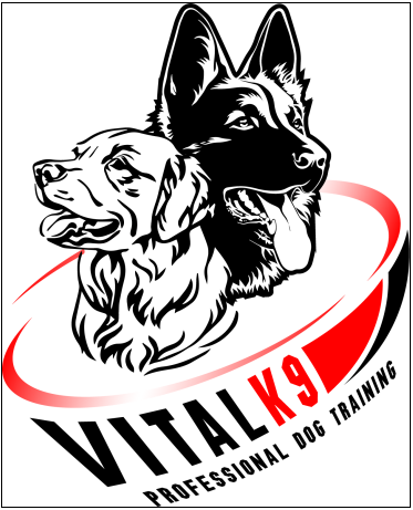Images Vital K9 Training & Boarding