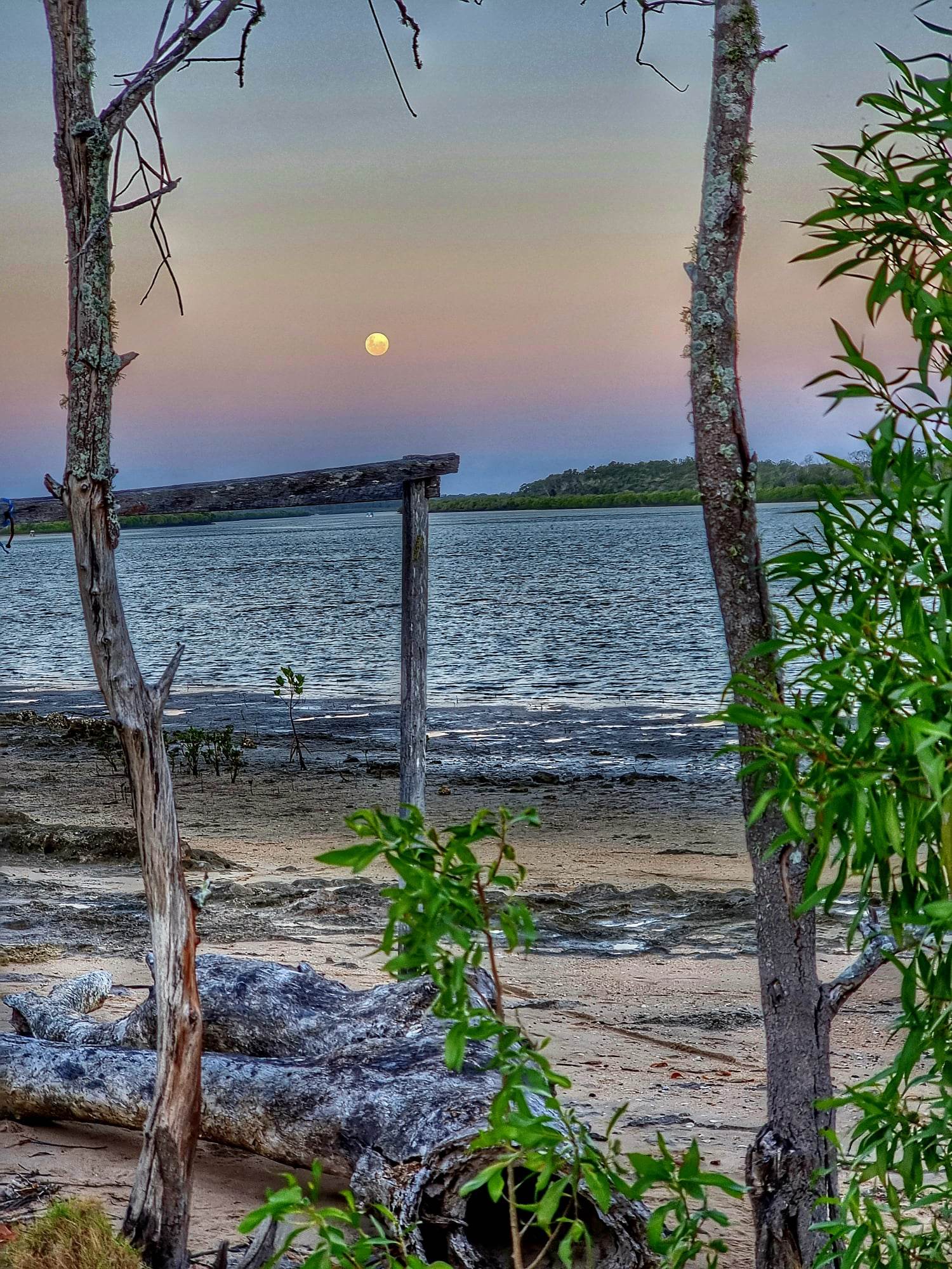 Images Buxton Bush Camp