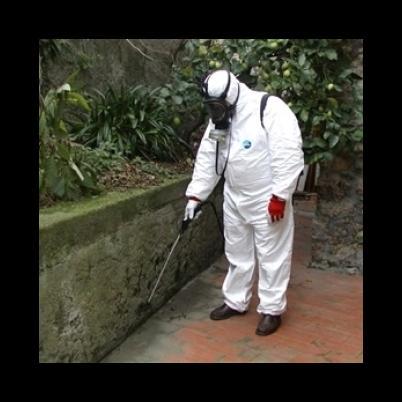 Images S. & G. Service