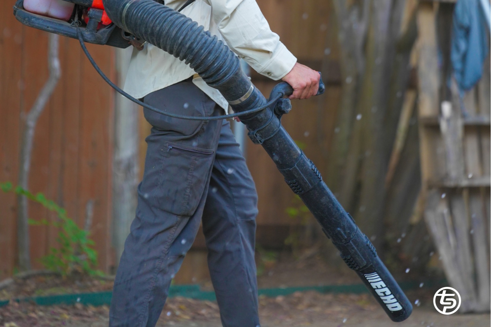 Lawn Restoration 