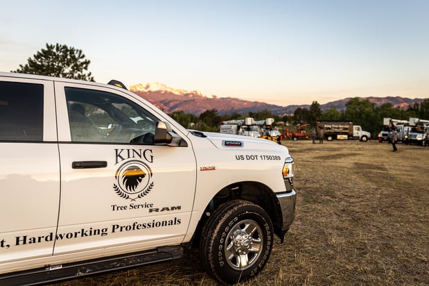Images King Tree Service