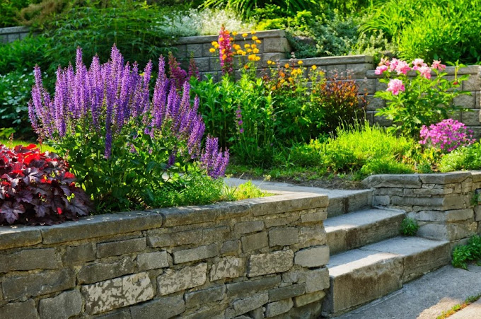 My Lawncare &amp; Landscaping Co. Logo