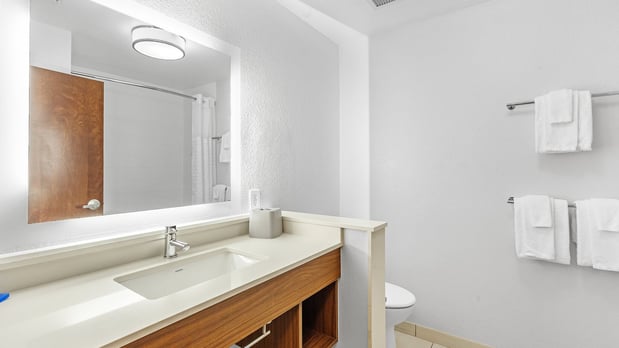Images Holiday Inn Express & Suites Mobile - University Area by IHG