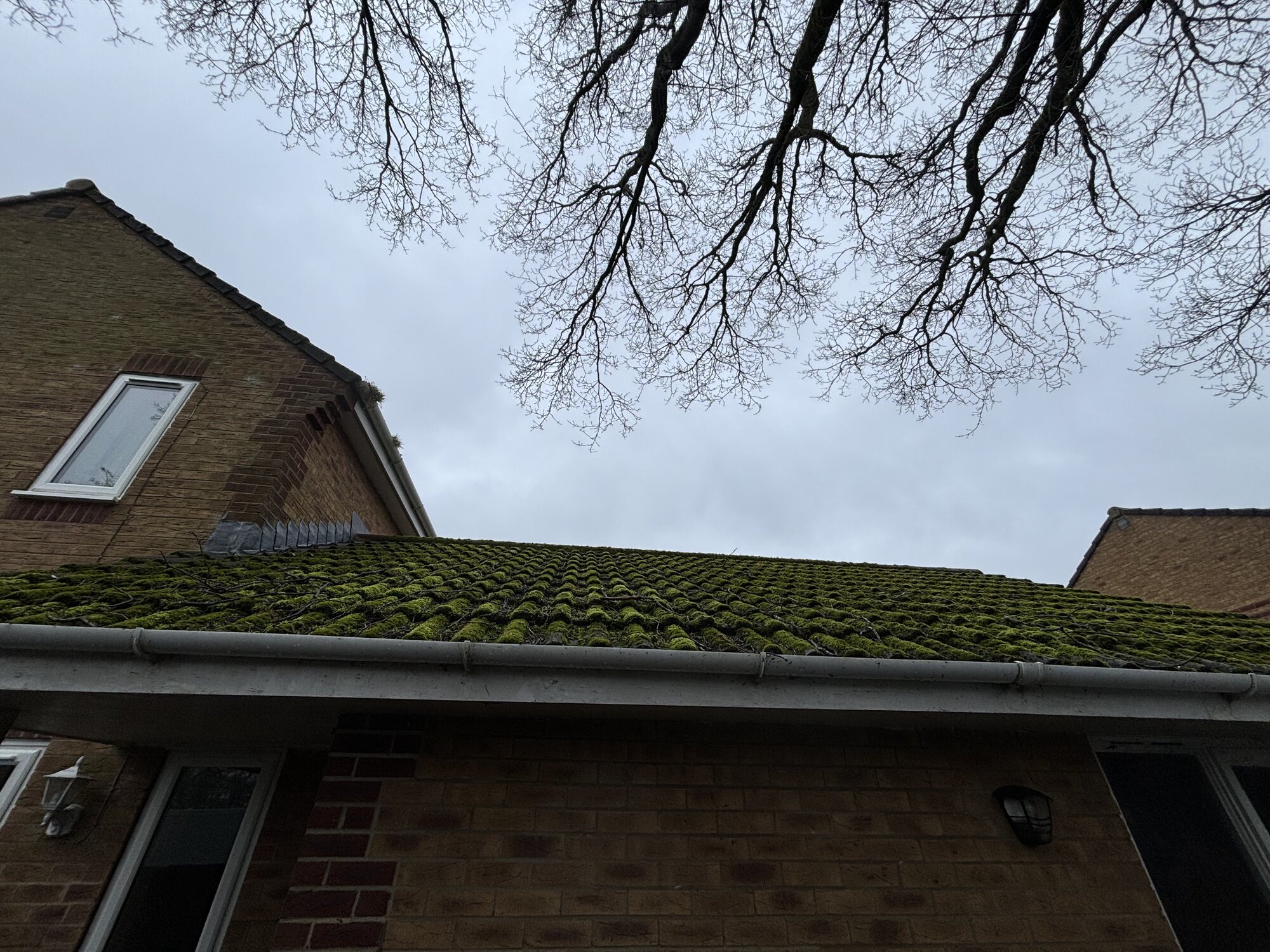 Images MM Roof Cleaning Services (MMRCS)