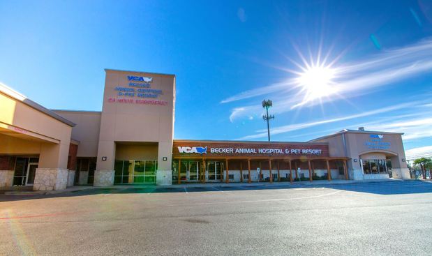 Images VCA Becker Animal Hospital and Pet Resort
