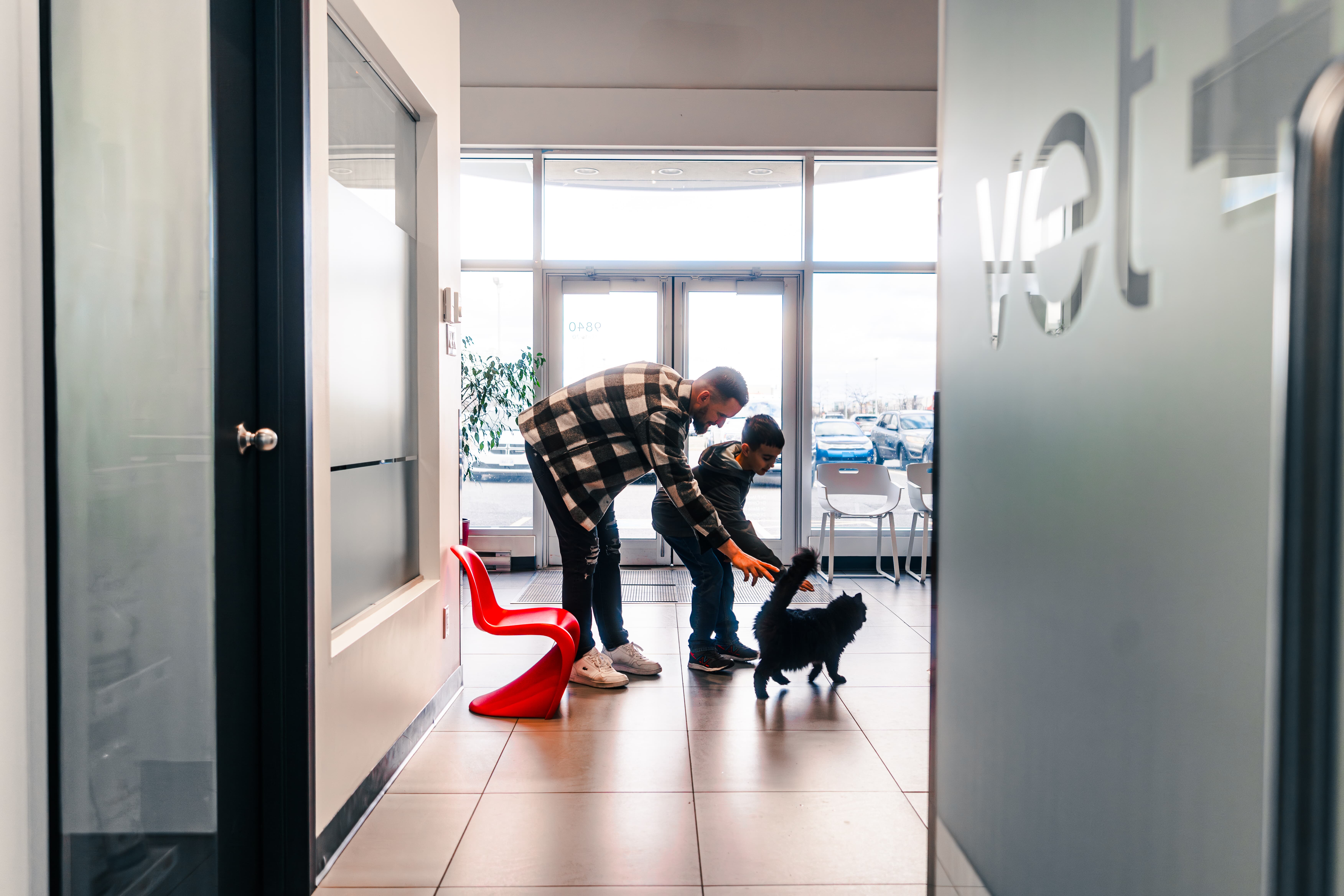 Images Clinique Vétérinaire Quartier Dix30