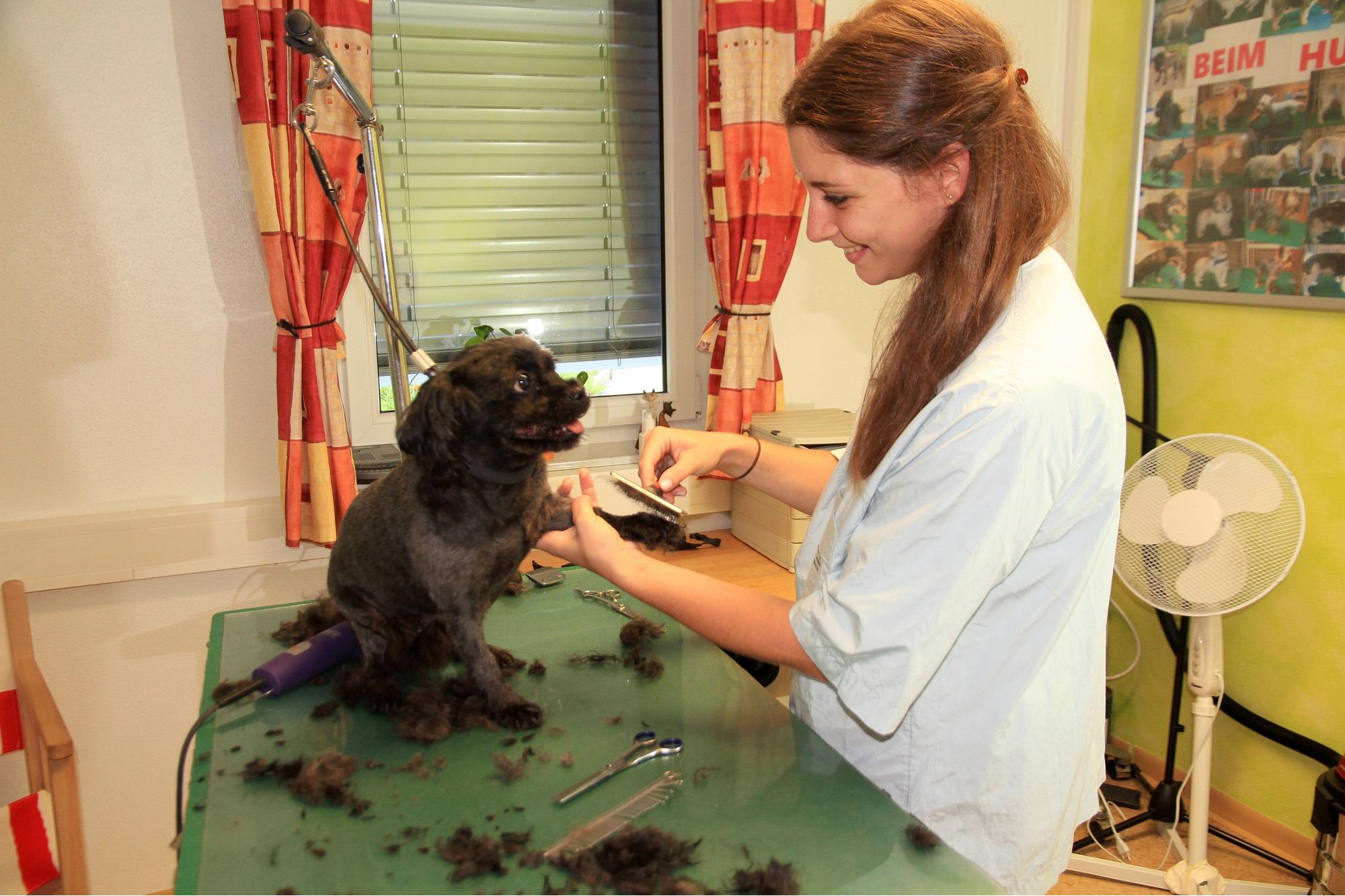 TGZ-Tiergesundheitszentrum GmbH Dr.med.vet. Birgit Dastig, Ragnitz 105 in Ragnitz
