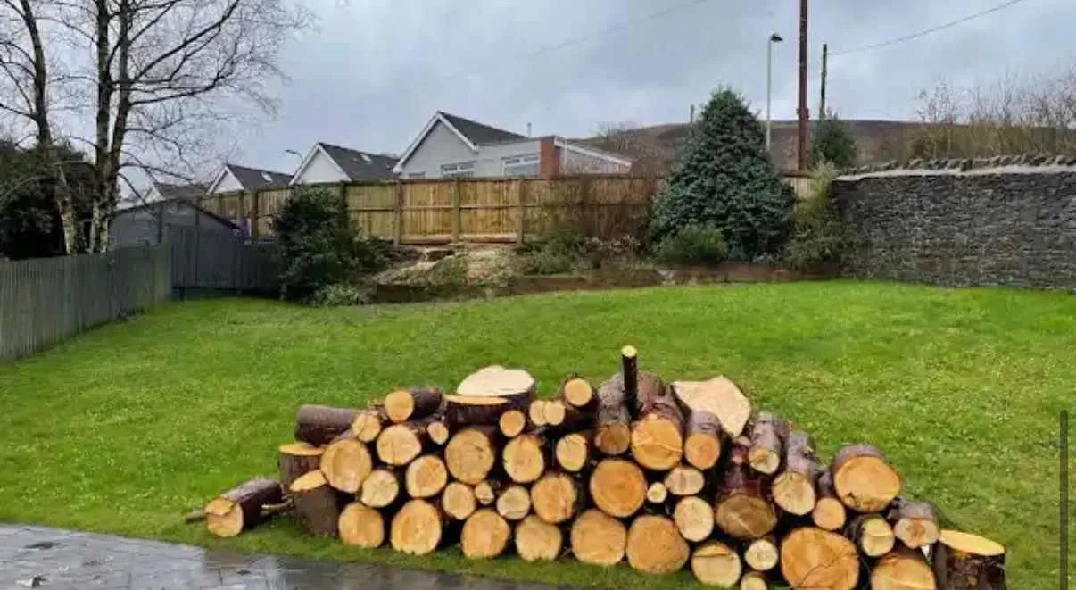 Images Tree Doctors & Landscaping