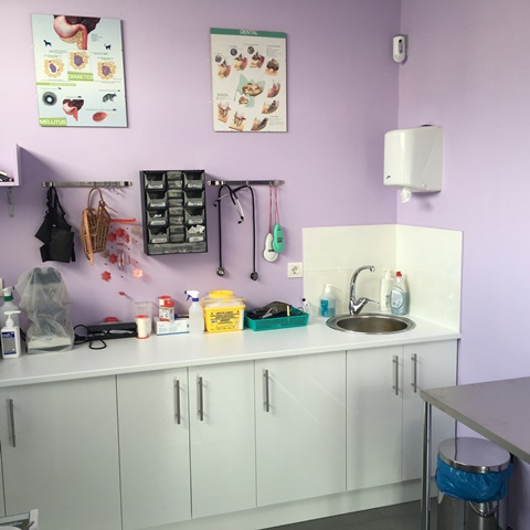 Images Centro Veterinario A Piringalla