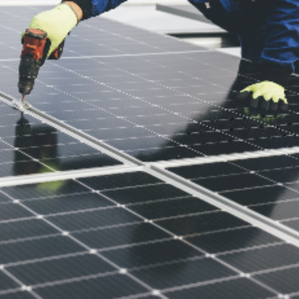 Solar Dino UG - GALLERY