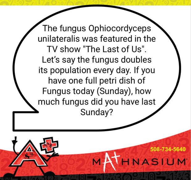 Images Mathnasium