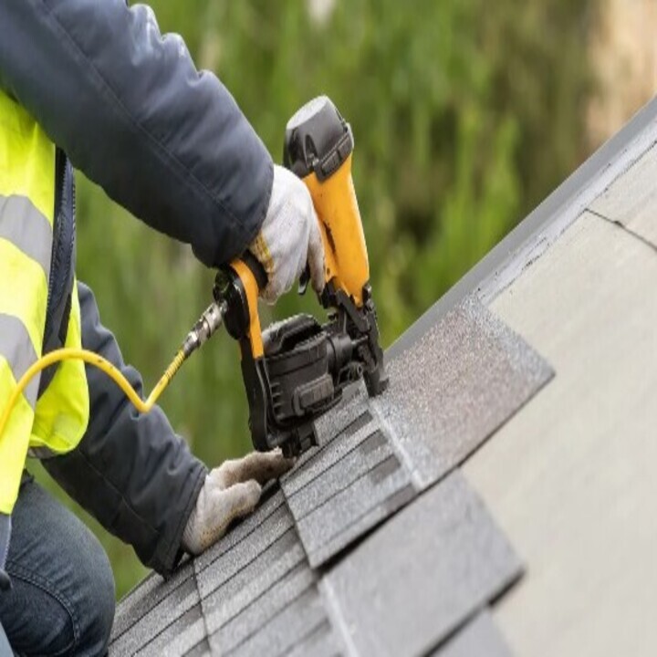 Images Pro Tree & Builders