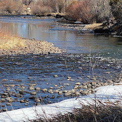 Mogote Meadow Cabins & RV Park Image