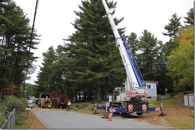 Greenleaf's Tree Service Photo