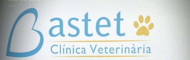 Images Bastet  Clinica Veterinaria