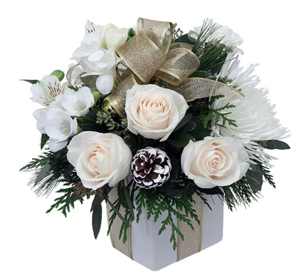 Images Jane's Roses & Flowers