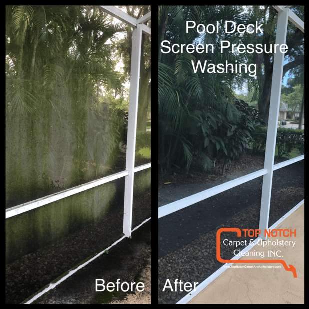 Images Top Notch Carpet And Upholstery Cleaning Inc.