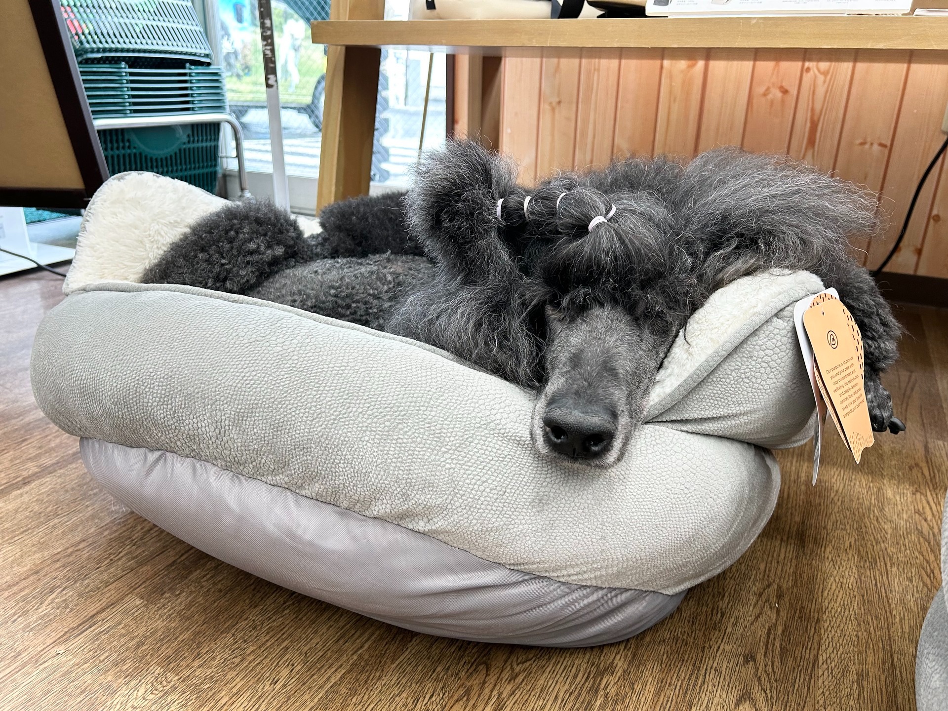 Images たまとポチ 宇津木店