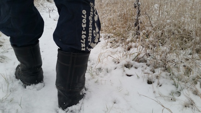 Images Marin & Fastighetsservice AB (MOF AB)