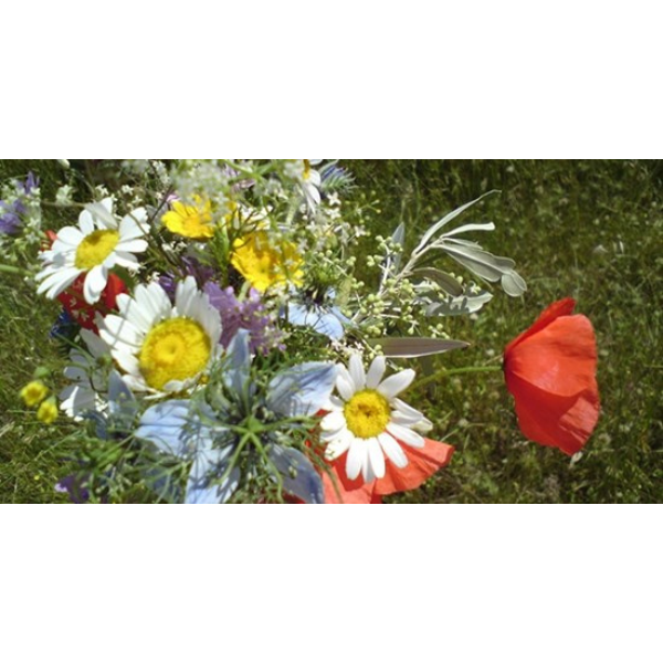 Images Psykoterapeutisk Praksis