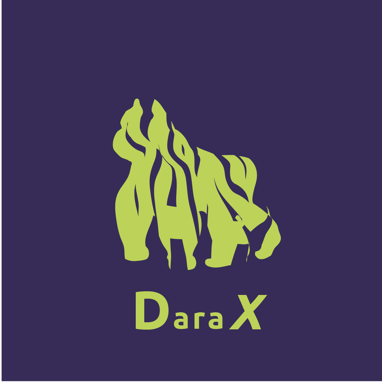 Images DaraX Renting - Comparador de Renting