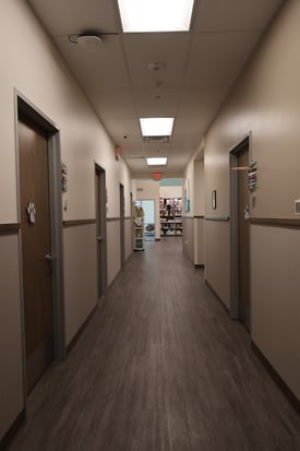 Images VCA Mainland Animal Hospital