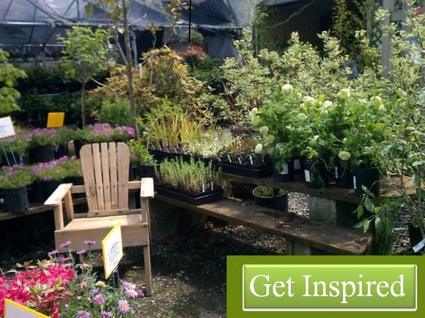 Images Rosso Gardens