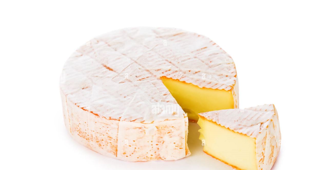 Weißschimmelkäse Toni