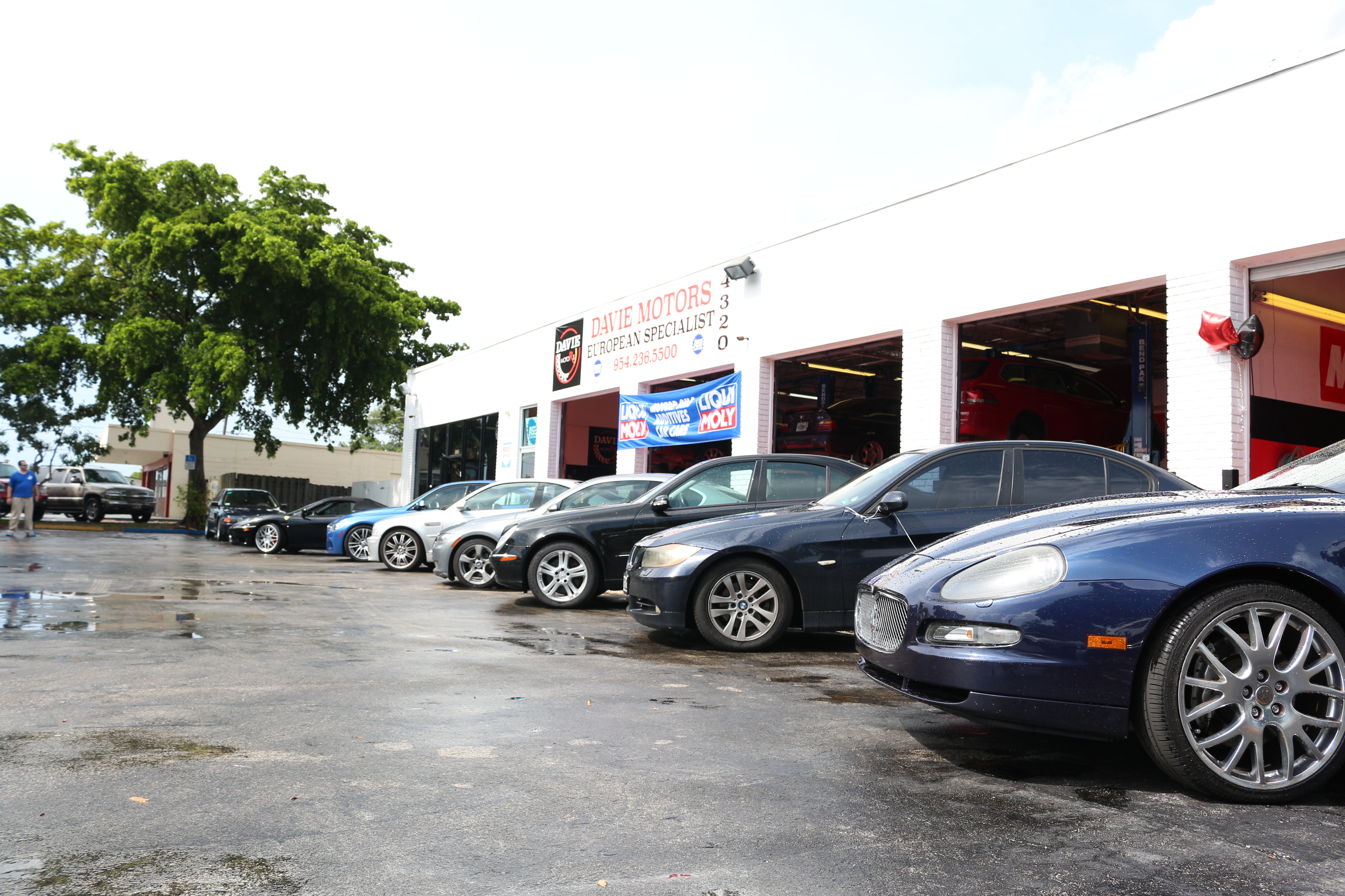 Davie Motors European Specialist
