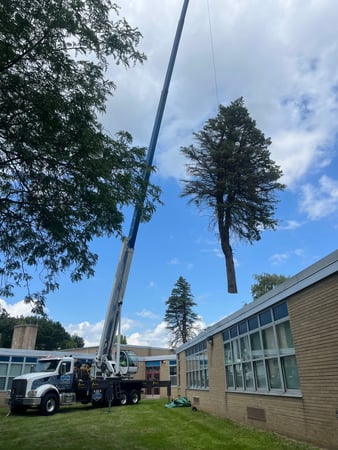 Images Spears Tree Experts Inc.