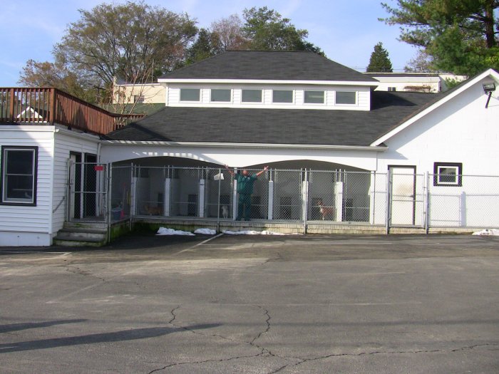VCA Davis Animal Hospital Stamford (203)998-6273