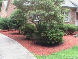 Floyd's Lawn Service