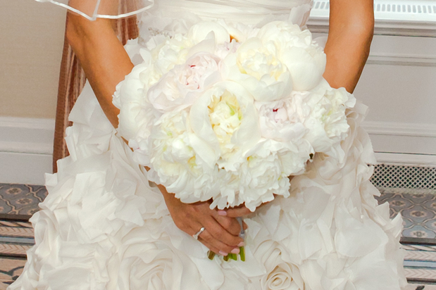 Images Jane's Roses & Flowers