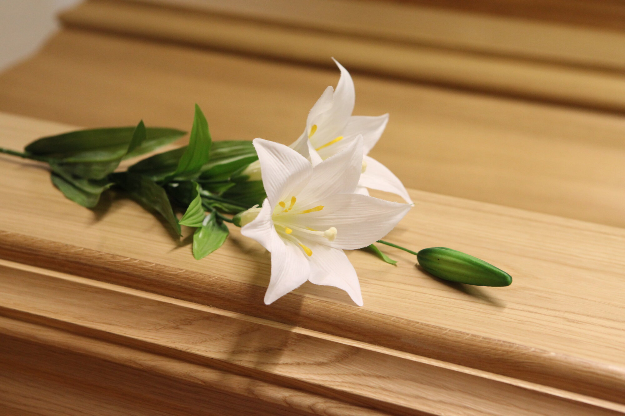 Bestattungsinstitut Fischer, Gewerbestraße 14 in Nördlingen