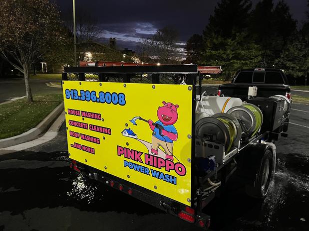 Images Pink Hippo Power Wash