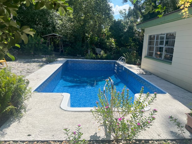 Images Paradise Palm Pools Inc