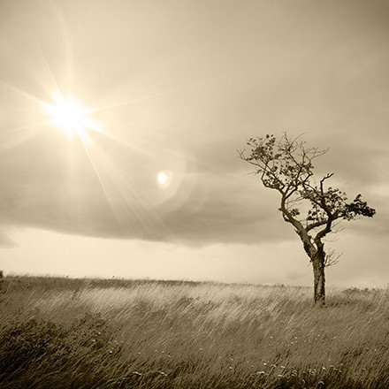 Bestattung Eduard Jäger & Söhne KG, Tulpenweg 18 in Knittelfeld