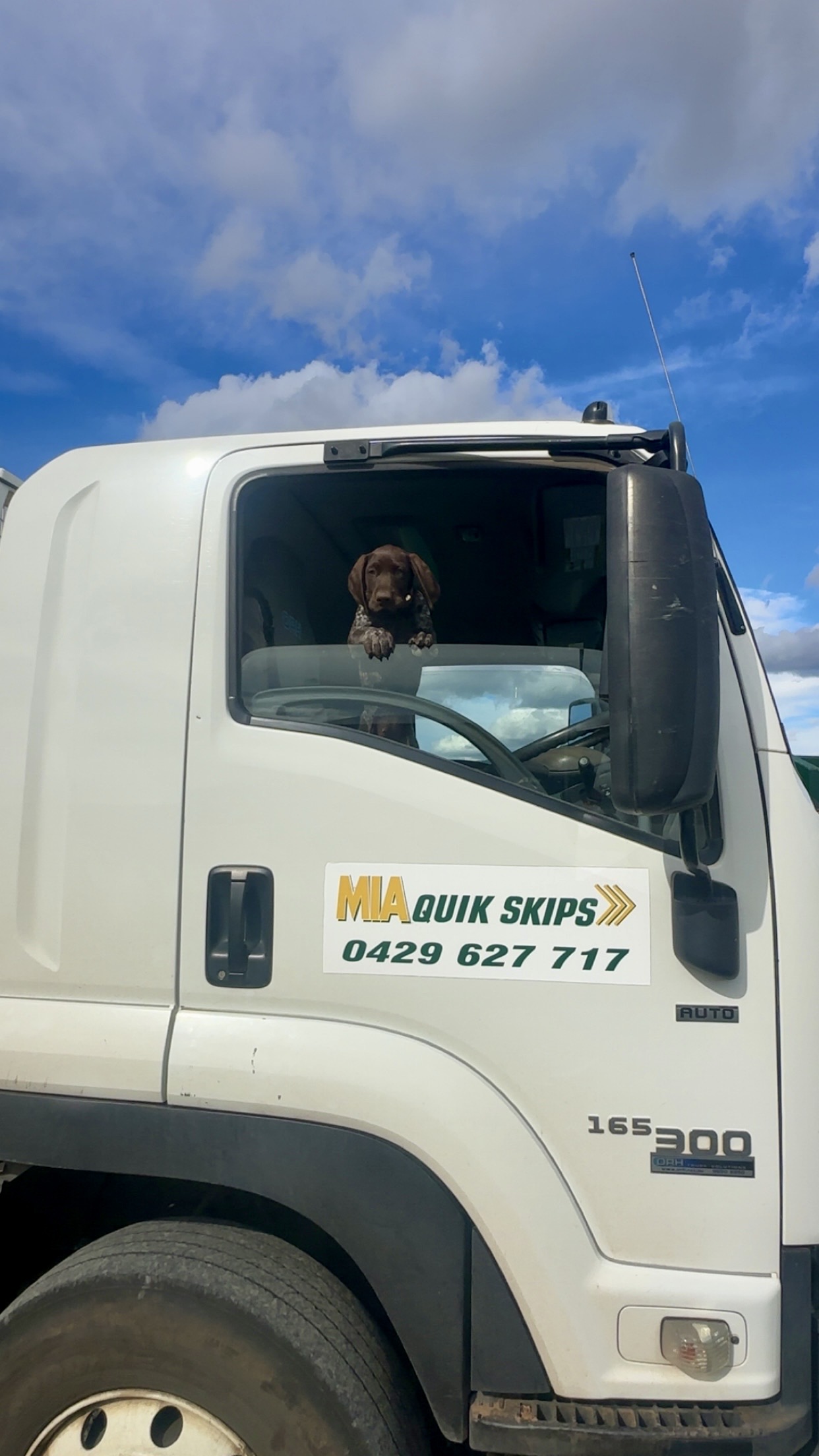 Images MIA Quikskips and MIA Quik Waste