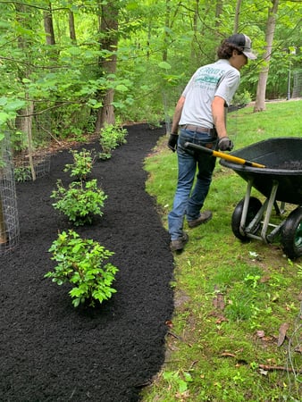 Images Stroud Landscaping & Lawncare