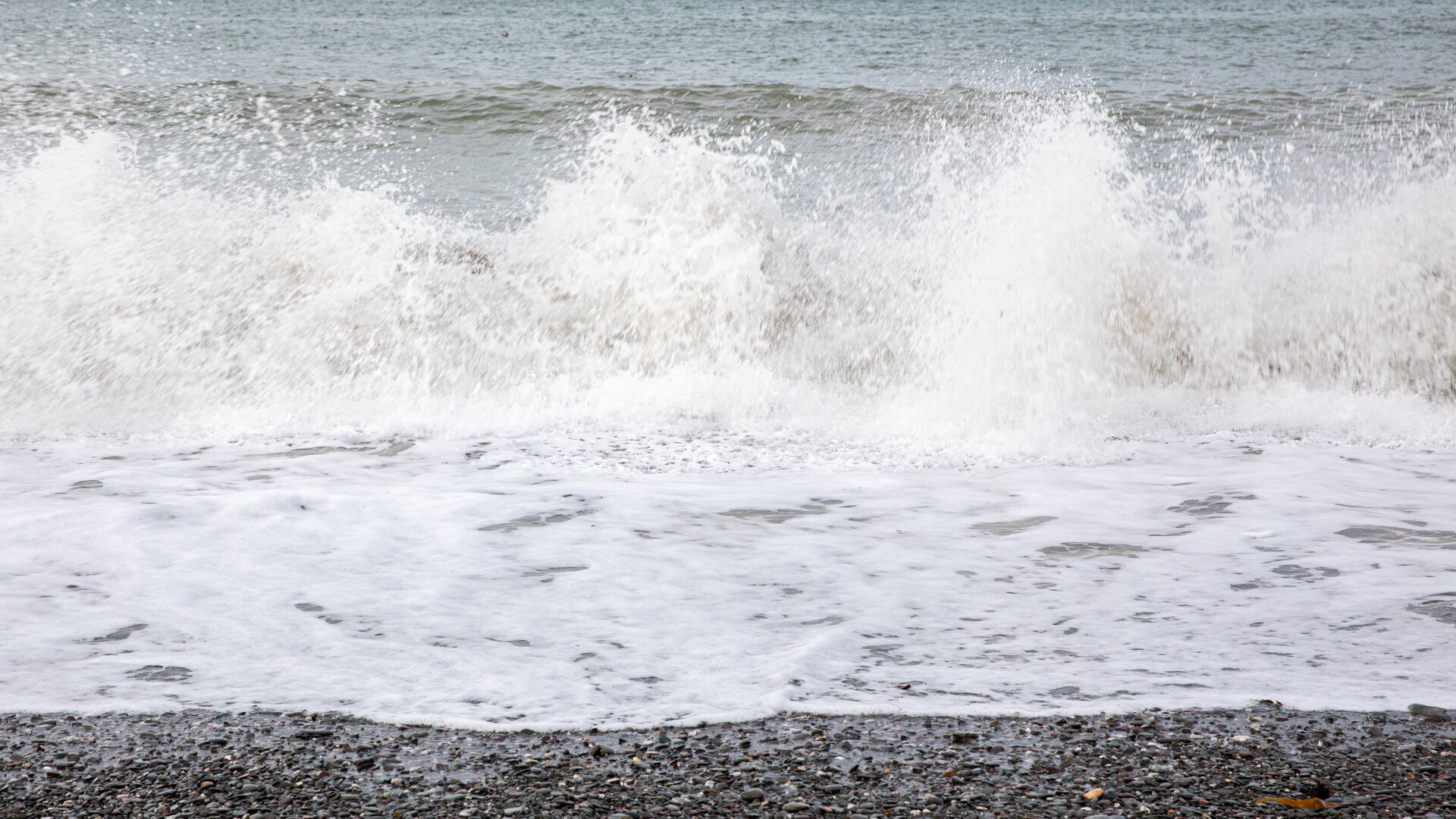 Images Inn On The Shore