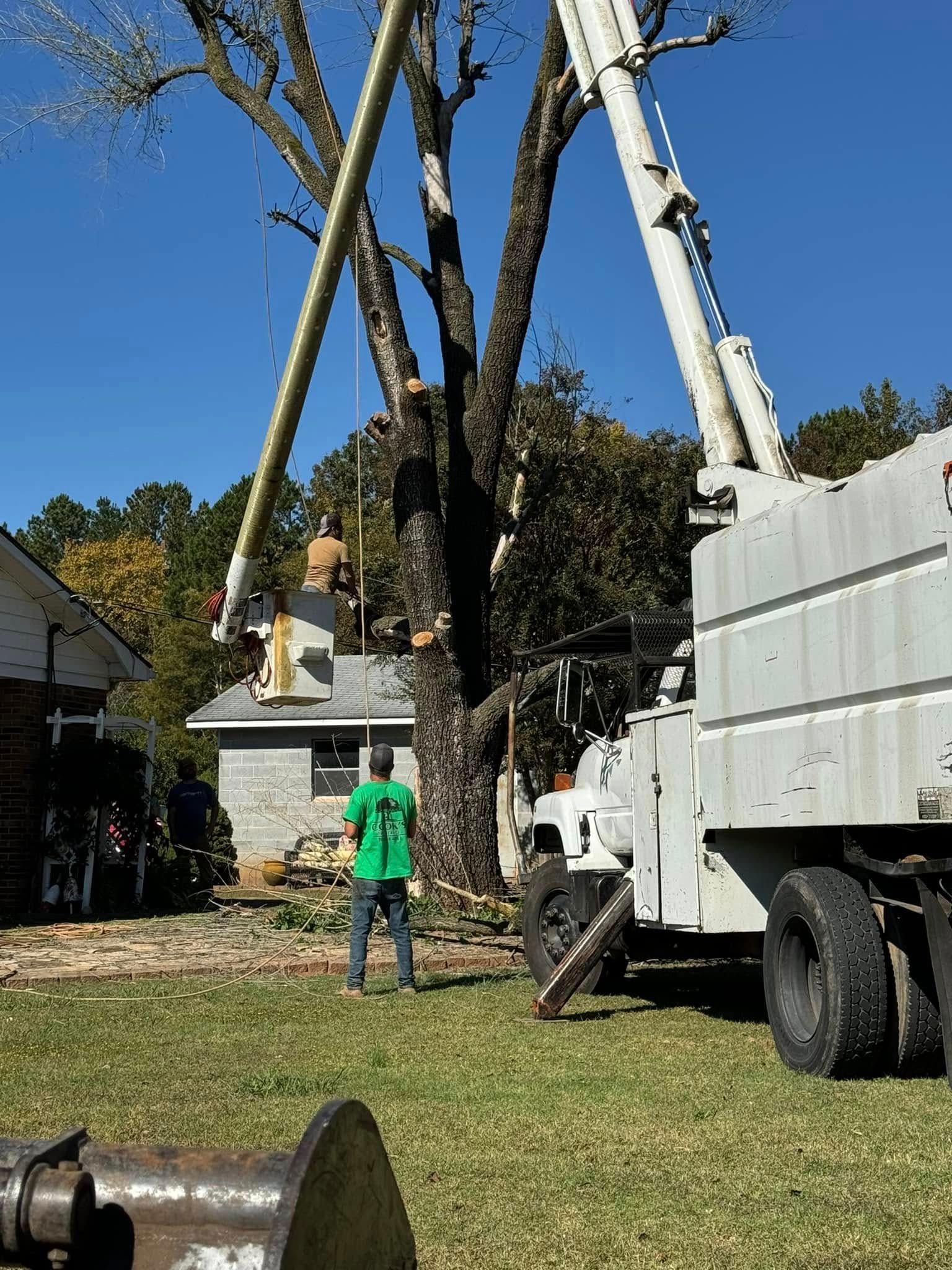 Cook's Tree Service Image