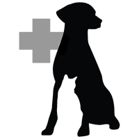 Westford Veterinary Emergency and Referral Center