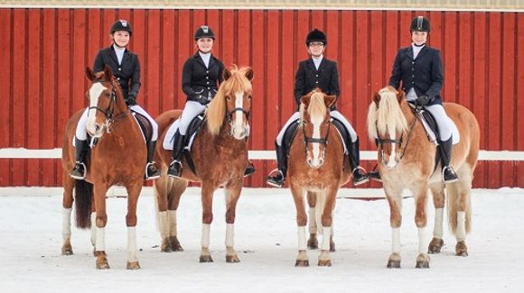 Images Relanderin Ponitalli